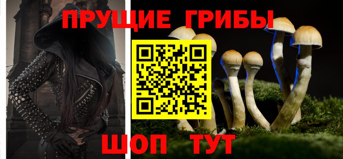 Псилоцибиновые грибы ЛСД Амурск